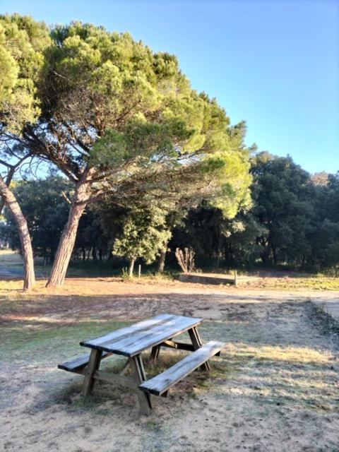 Appartamento Les Salines Oléron Saint-Pierre-d'Oleron Esterno foto