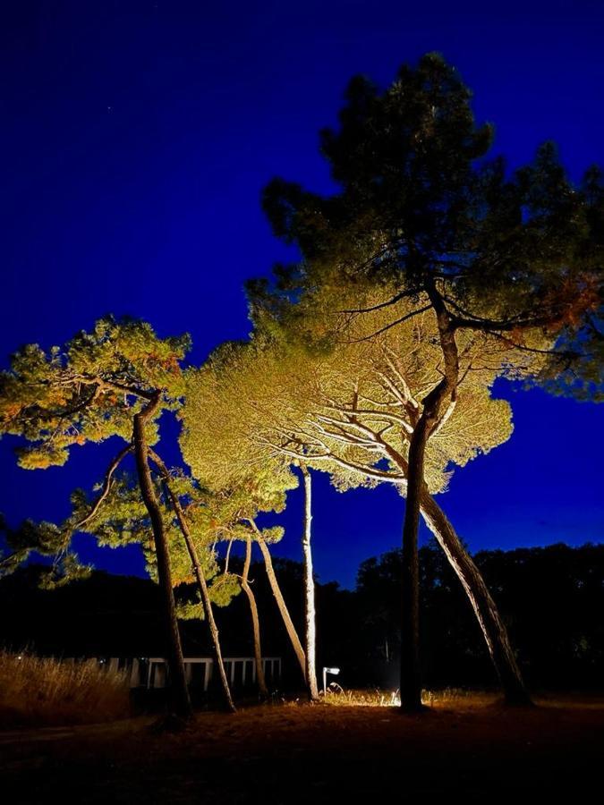 Appartamento Les Salines Oléron Saint-Pierre-d'Oleron Esterno foto