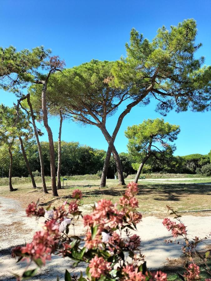 Appartamento Les Salines Oléron Saint-Pierre-d'Oleron Esterno foto